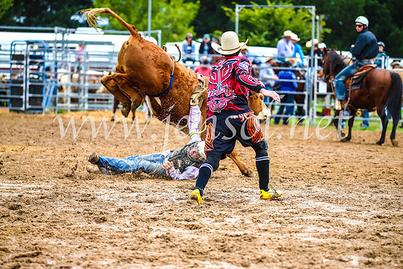 BraidwoodRodeo2017_0199