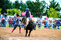 BraidwoodRodeo2017_0239