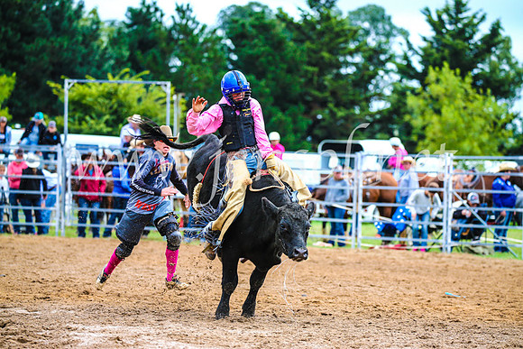 BraidwoodRodeo2017_0239