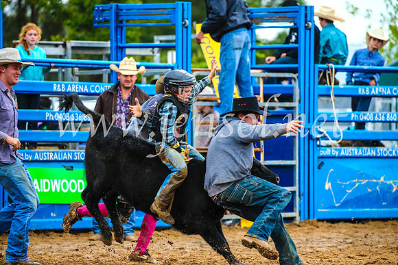 BraidwoodRodeo2017_2408