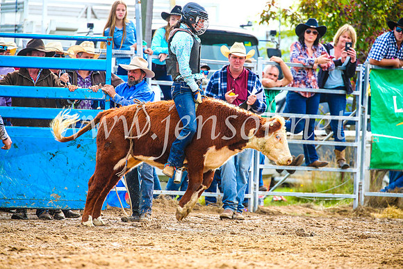 BraidwoodRodeo2017_2612