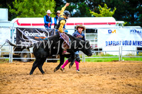 BraidwoodRodeo2017_0243