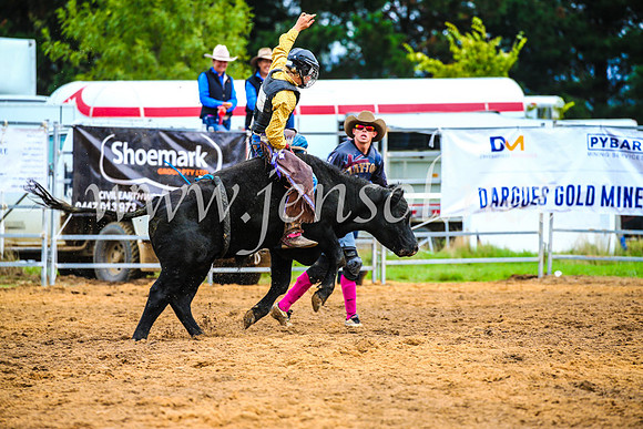 BraidwoodRodeo2017_0243