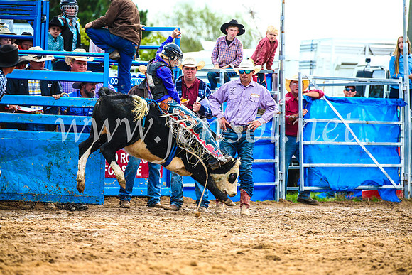 BraidwoodRodeo2017_2589