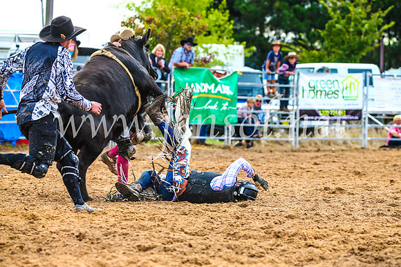 BraidwoodRodeo2017_2640