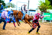 BraidwoodRodeo2017_0187