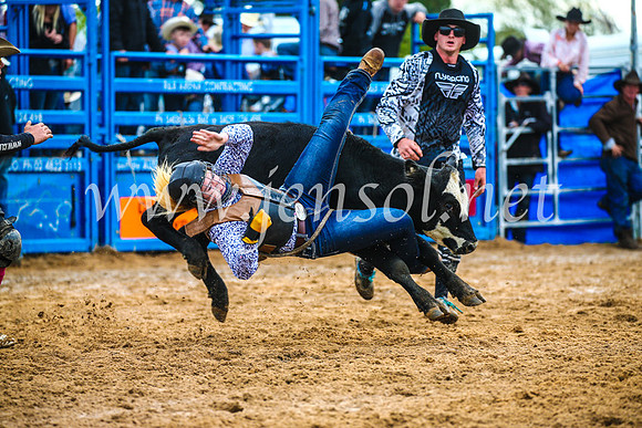 BraidwoodRodeo2017_2657