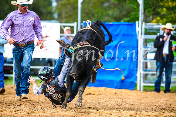 BraidwoodRodeo2017_0431