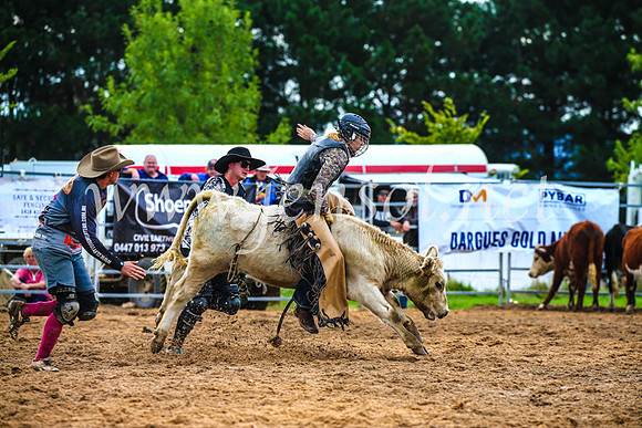 BraidwoodRodeo2017_2675