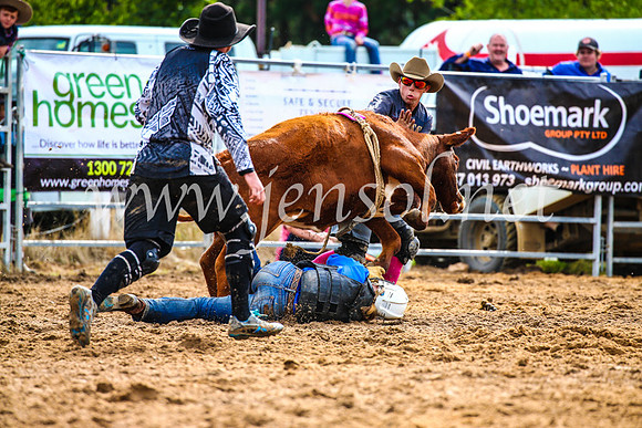 BraidwoodRodeo2017_2599