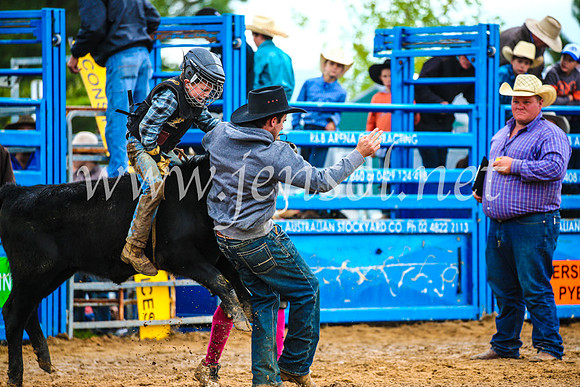 BraidwoodRodeo2017_2402