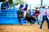 BraidwoodRodeo2017_0228