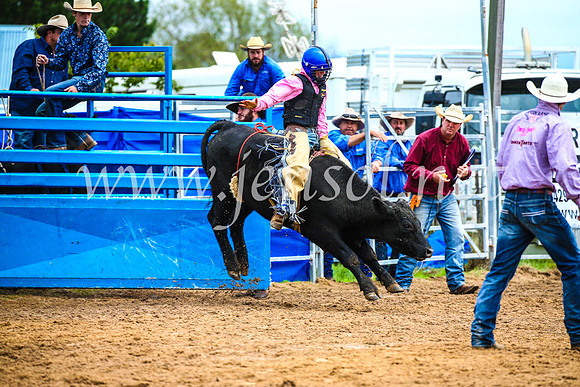 BraidwoodRodeo2017_0228