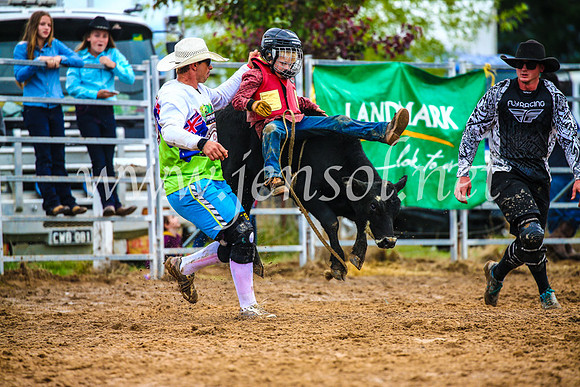 BraidwoodRodeo2017_2446