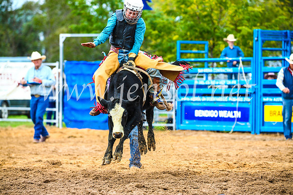 BraidwoodRodeo2017_0485