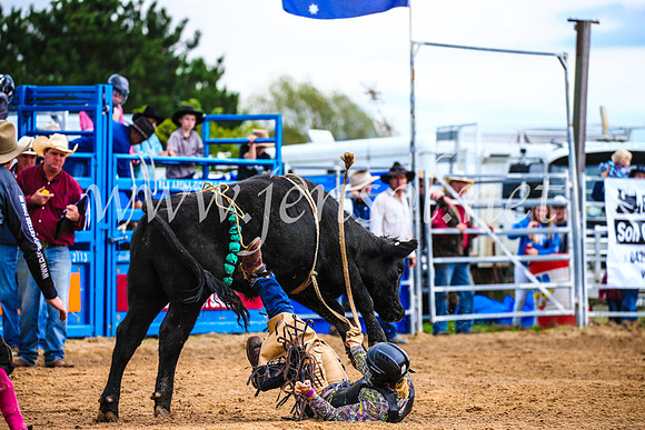 BraidwoodRodeo2017_1366