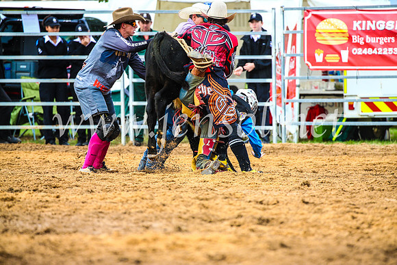 BraidwoodRodeo2017_0457