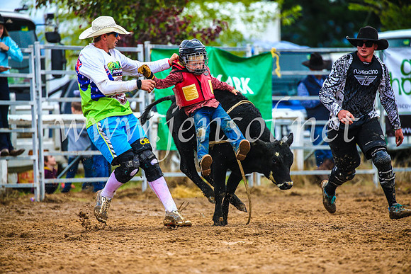 BraidwoodRodeo2017_2445