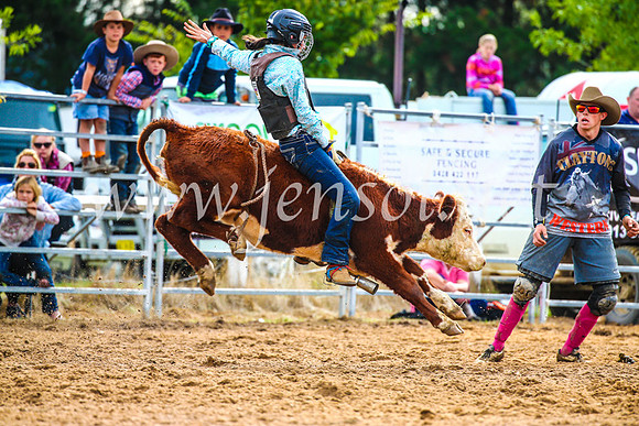 BraidwoodRodeo2017_2617