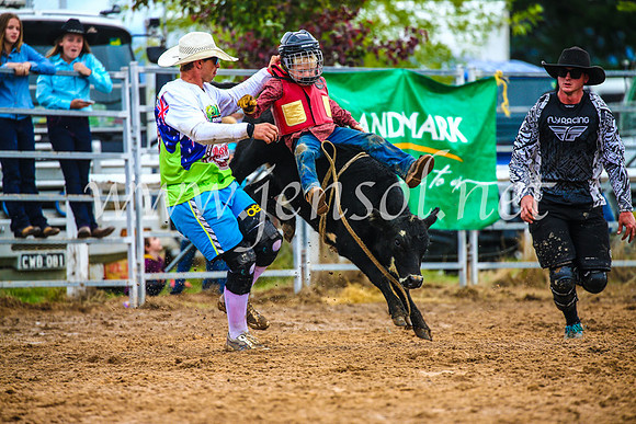 BraidwoodRodeo2017_2443