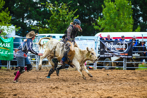 BraidwoodRodeo2017_2680