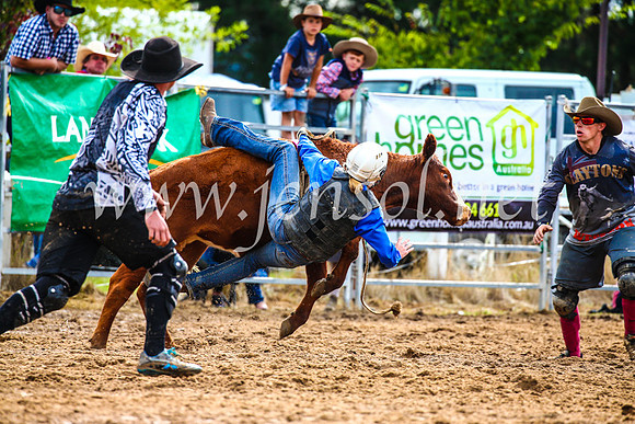 BraidwoodRodeo2017_2603
