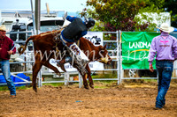 BraidwoodRodeo2017_0255