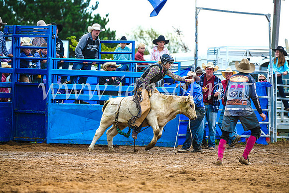 BraidwoodRodeo2017_2671