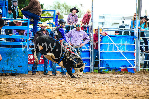 BraidwoodRodeo2017_2593