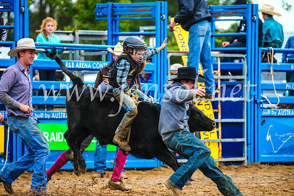 BraidwoodRodeo2017_2407