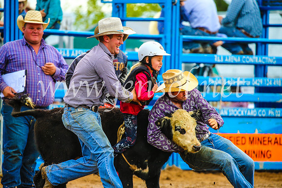 BraidwoodRodeo2017_2466