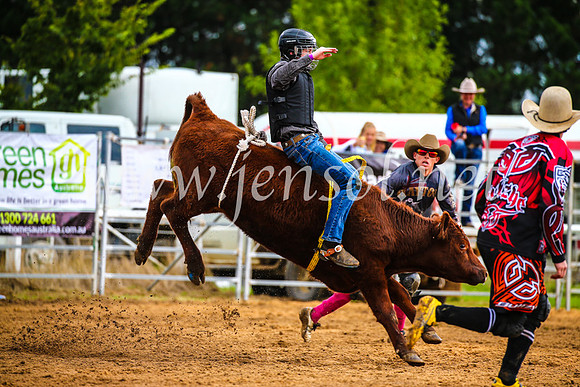 BraidwoodRodeo2017_1390