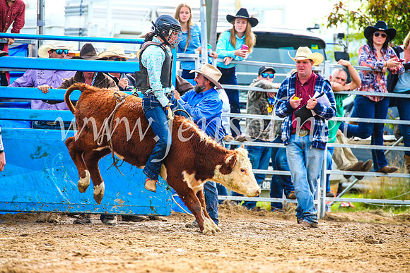 BraidwoodRodeo2017_2606