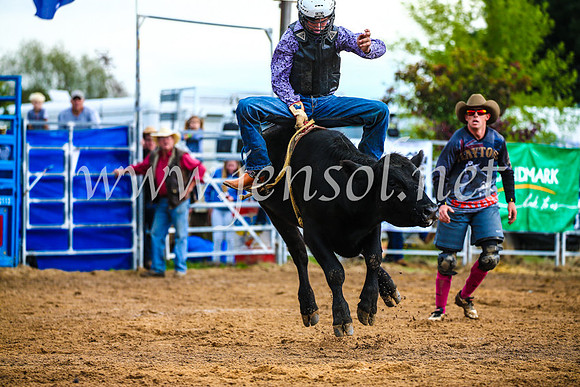 BraidwoodRodeo2017_1416