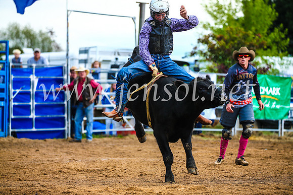 BraidwoodRodeo2017_1411