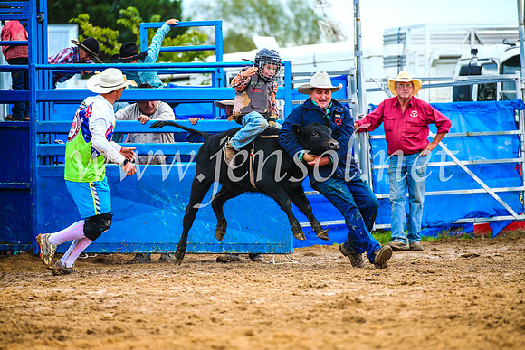 BraidwoodRodeo2017_2427