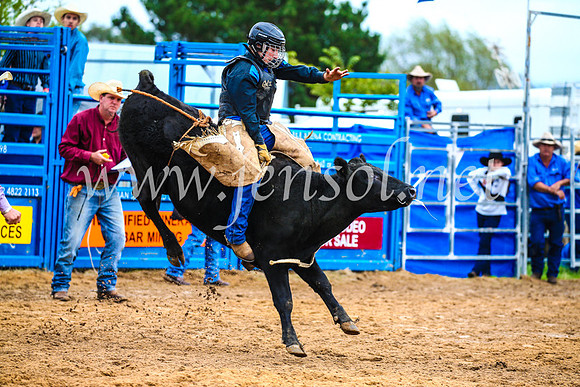 BraidwoodRodeo2017_0259