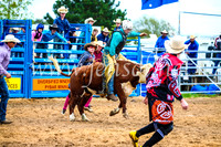 BraidwoodRodeo2017_0182