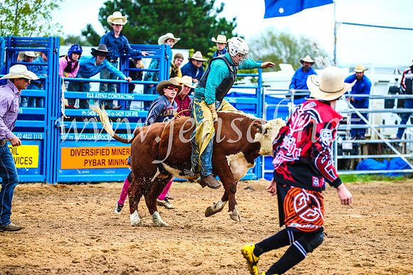 BraidwoodRodeo2017_0182