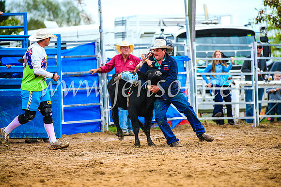 BraidwoodRodeo2017_2417