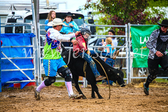 BraidwoodRodeo2017_2448