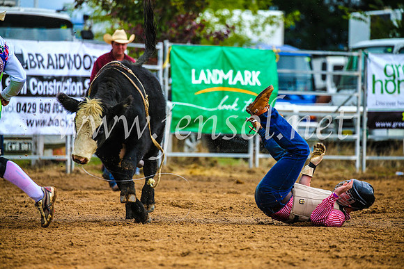BraidwoodRodeo2017_1395