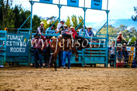 TumutRodeo2017_1356