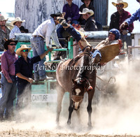 Bungendore2011_0381
