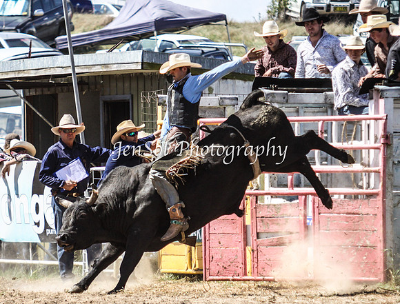 Bungendore2011_1159
