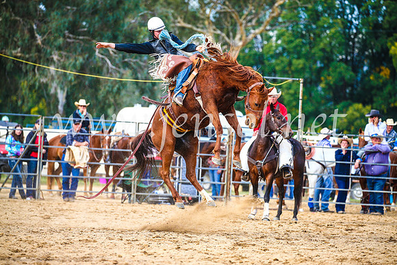 TumutRodeo2017_2290