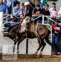 Cooma2_0014