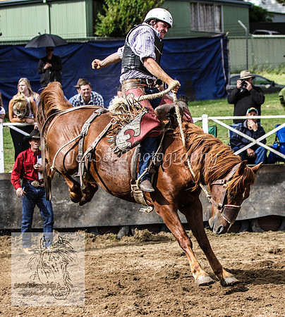 Cooma2_0042