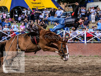 Cooma2_0056