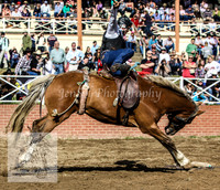 Cooma2_0078